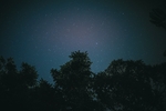 夜景