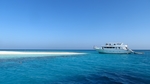 海