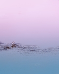 水滴 水面