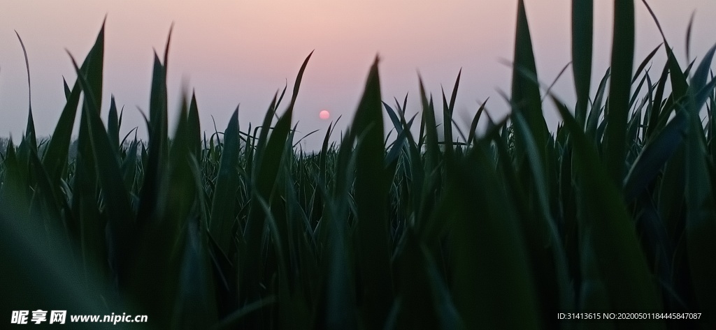 黄昏