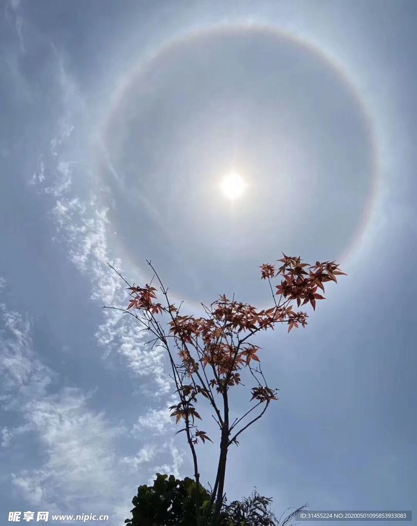 太阳美景