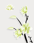 花