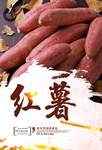 红薯