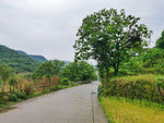 农村马路