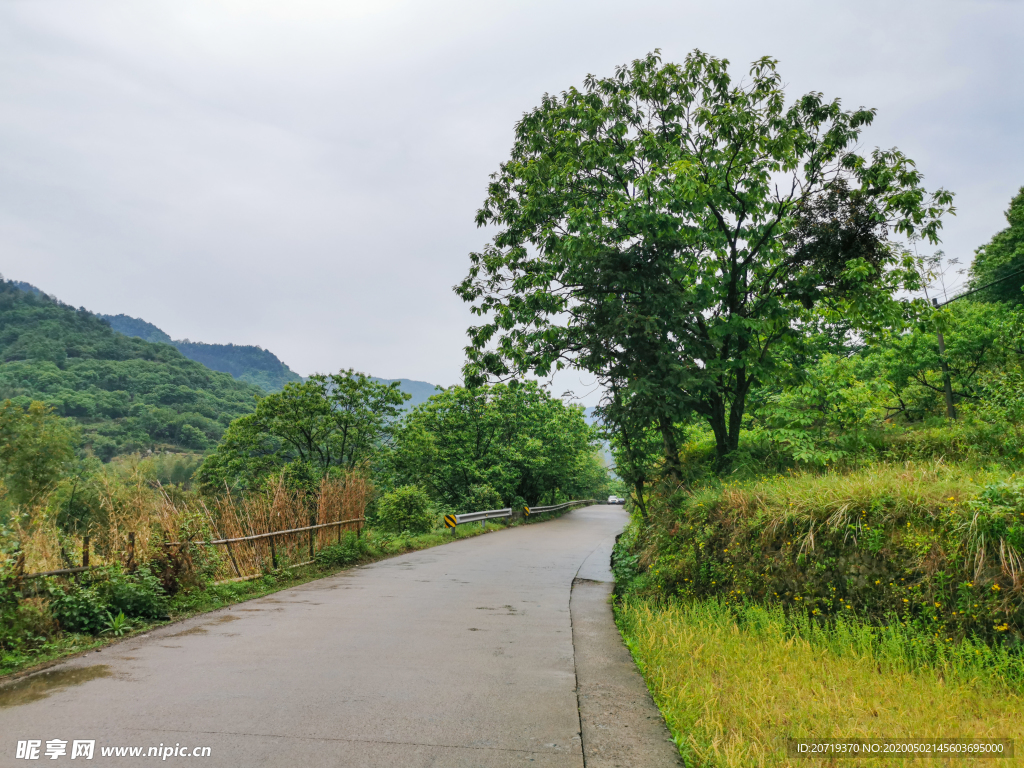 农村马路