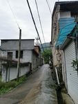 农村的路