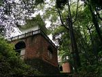 树林里的建筑