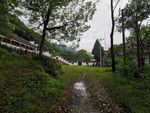山里的庙