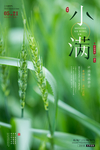 小满