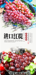 进口红提海报