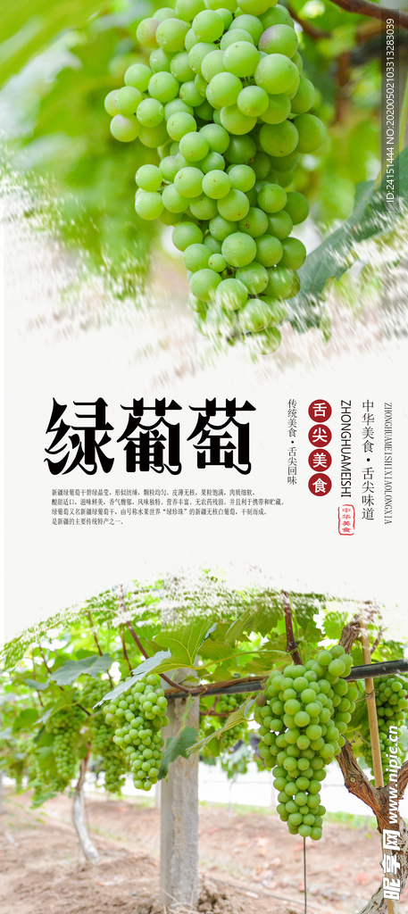 绿葡萄水果海报