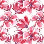 玉兰花插图