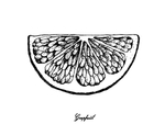 素描水果