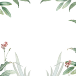 花卉边框