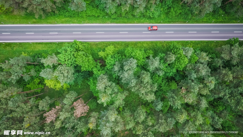 绿色环绕的公路大道图片