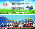 右玉羊肉代金券
