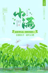 小满