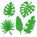 线条矢量手绘花草植物