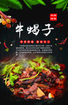 牛蝎子图版