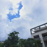 天空  树木