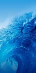 海洋