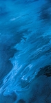 海洋