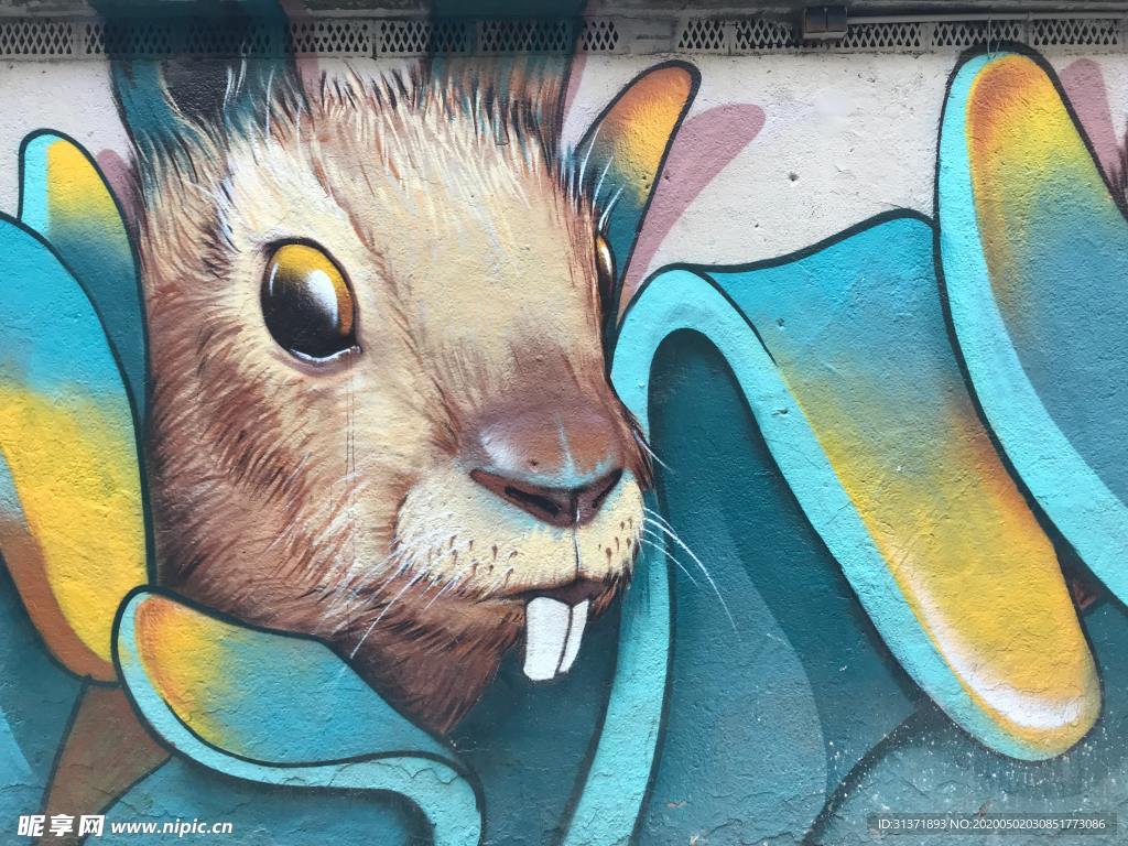 墙绘兔子