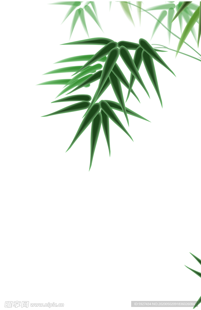 竹子