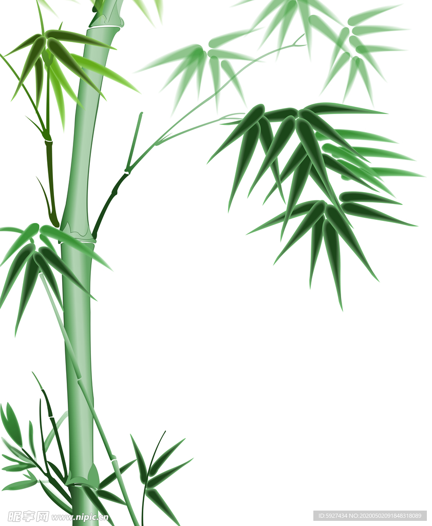 竹子
