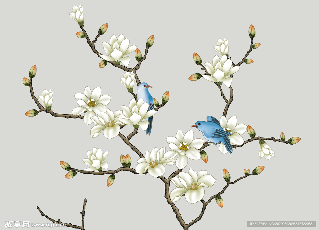 花鸟