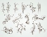 时尚花边花纹
