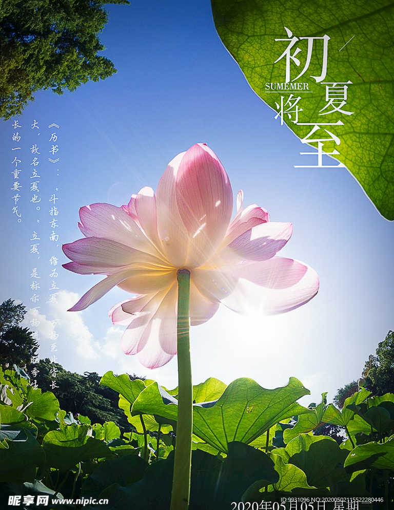 初夏
