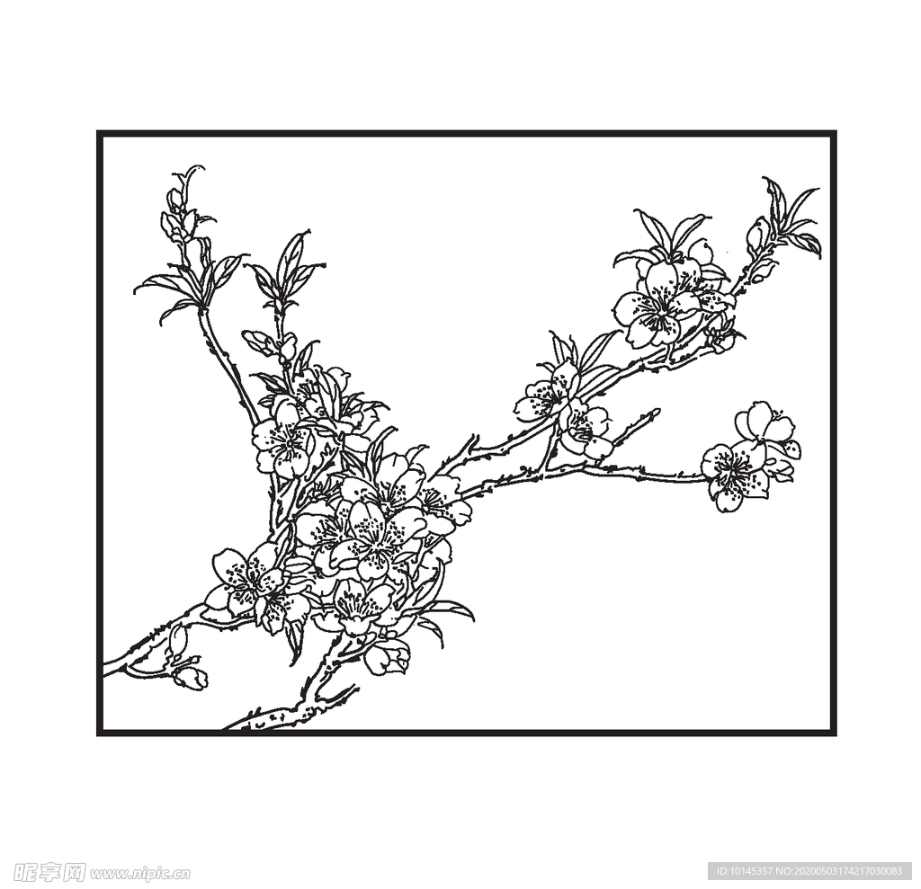 桃花