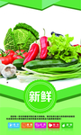 蔬菜