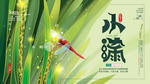 小满