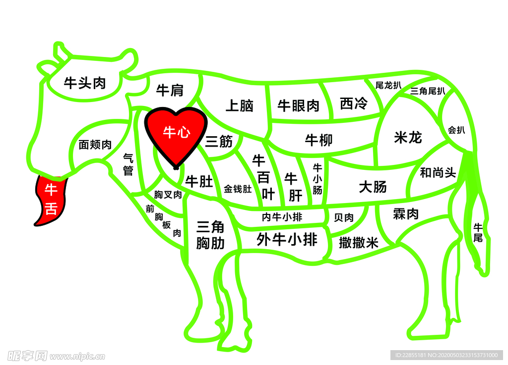 牛肉解析图