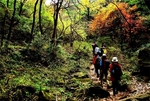 绿水青山