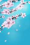 桃花节