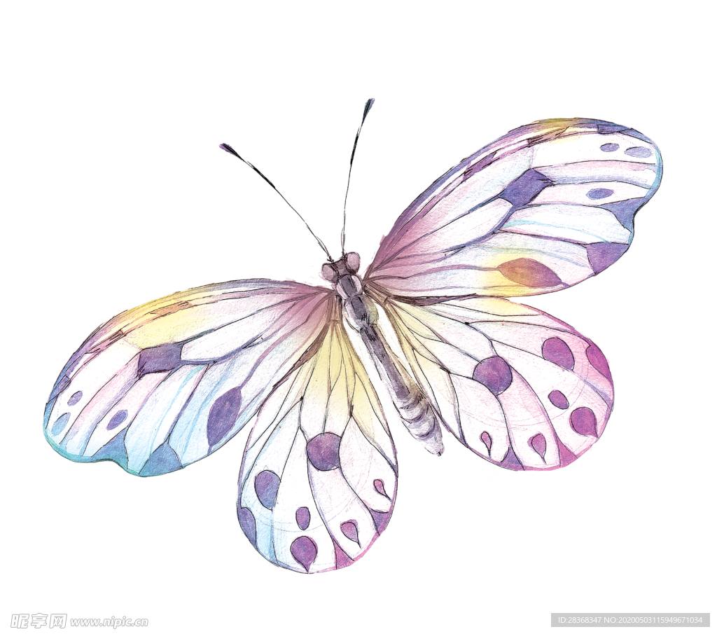 粉色蝴蝶背景壁纸插图(蝴蝶、背景、壁纸、粉色、唯美、简约)手绘插图_北极熊素材库