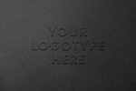 烫金LOGO样机