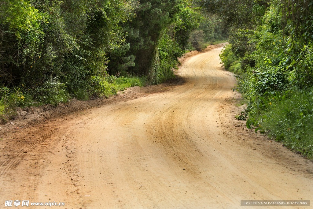 林间车道
