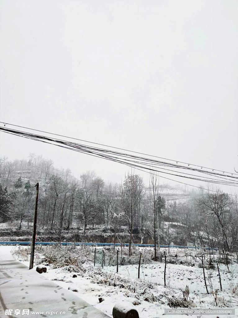 雪景