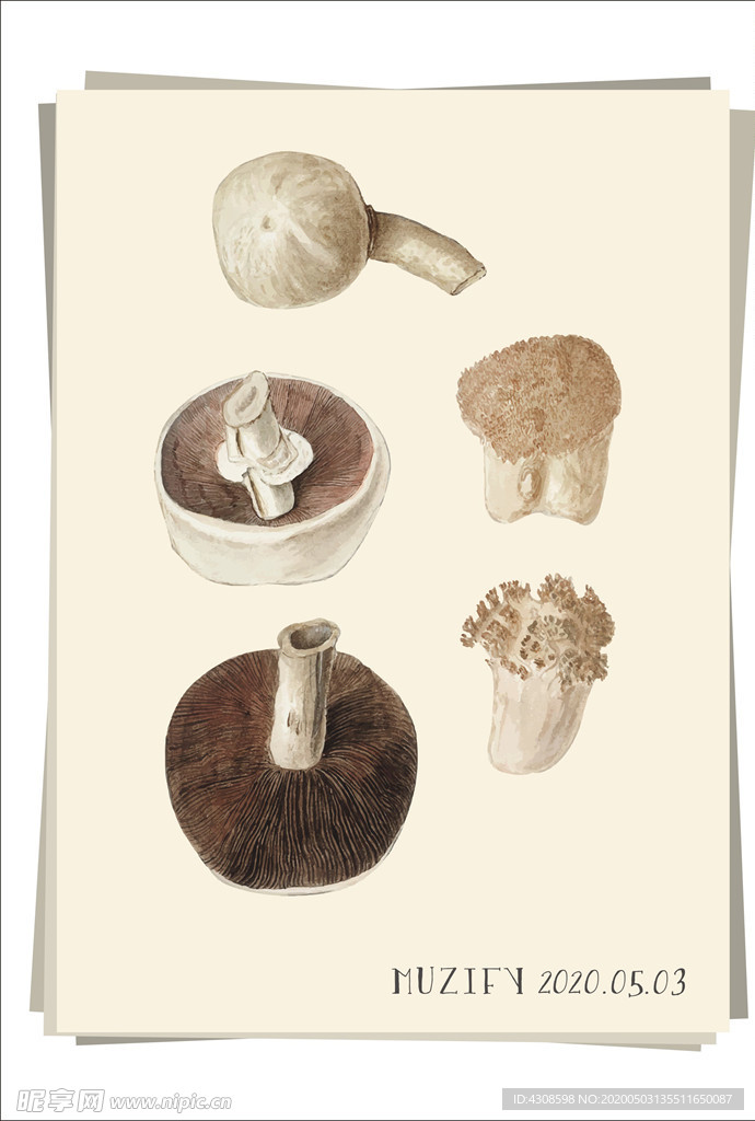 5款入蘑菇 植物图鉴
