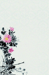 鲜花背景