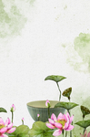 荷花背景