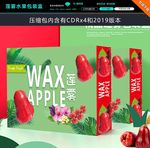 莲雾水果包装