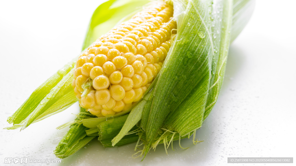 玉米五谷杂粮图片