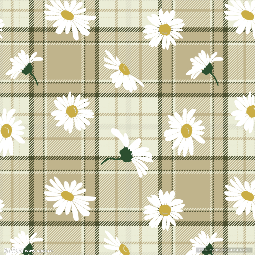 雏菊