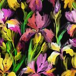 鸢尾花