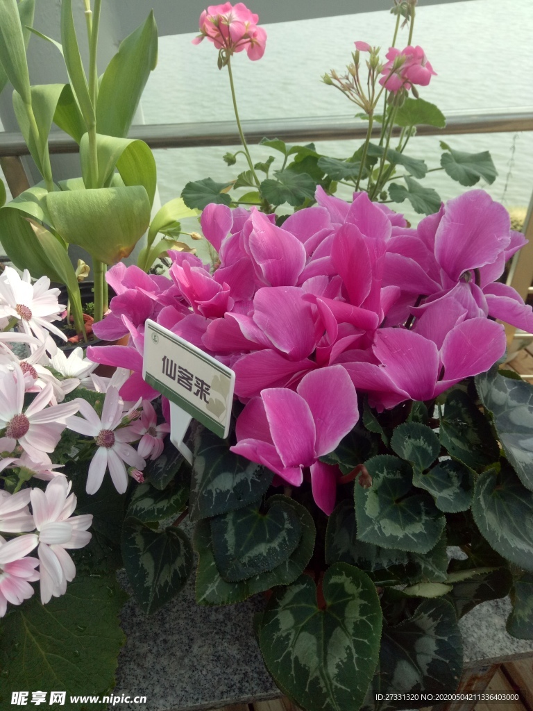 鲜花店